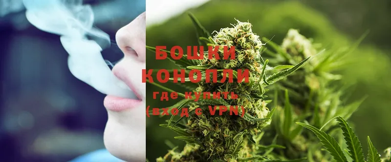 Каннабис White Widow  Болохово 